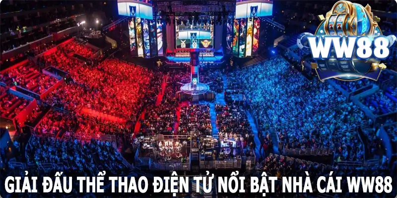 Giải Đấu Esports Nổi Bật Sức Hút Mạnh Mẽ Cho Các Cược Thủ