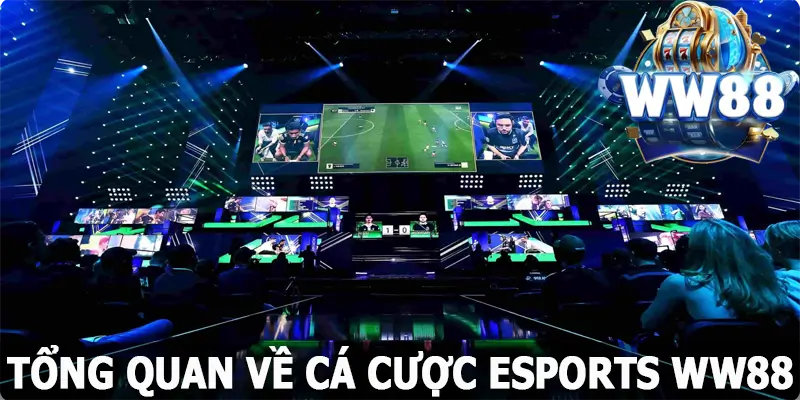 Tìm hiểu tổng quan về cá cược Esports WW88